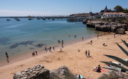 Portugal Ventures tem 10 milhões para investir ao estilo Sun Boats