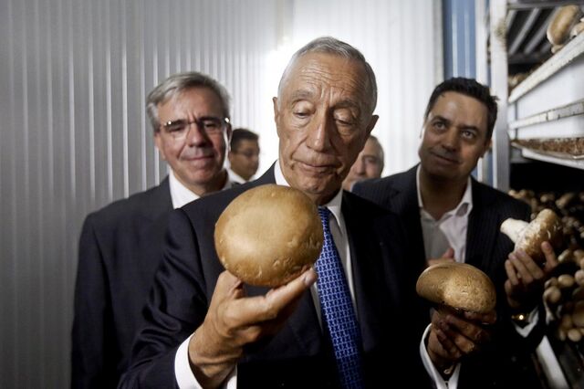Novo Banco “chumba” PER de gigante dos cogumelos