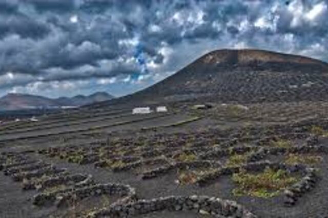Vinhos vulcânicos raros entram em erupção pelo mundo