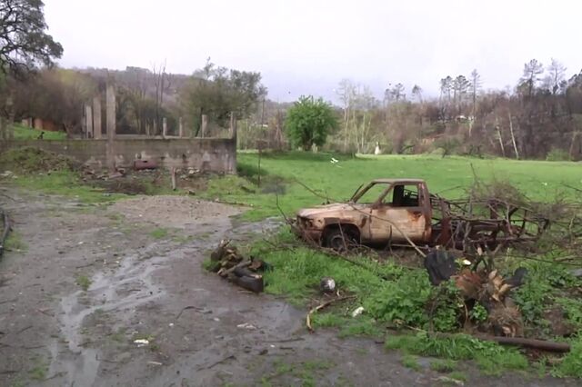 Incêndios: Há agricultores que recebem um terço ou um quarto do prejuízo registado 