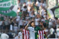 jamor taça