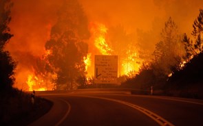 Protecção Civil pagou 19 milhões de despesas extraordinárias aos bombeiros