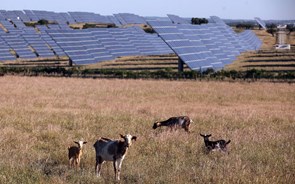 Bruxelas quer UE com 45% de renováveis até 2030 e mais solar e hidrogénio
