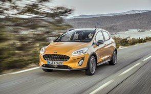 Fotogaleria: Ford Fiesta Active