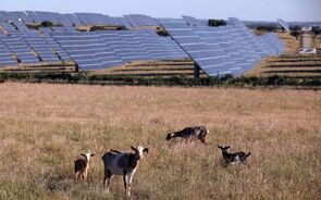 central fotovoltaica