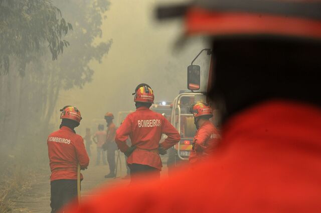 Governo não penalizou câmaras sem plano anti-fogos