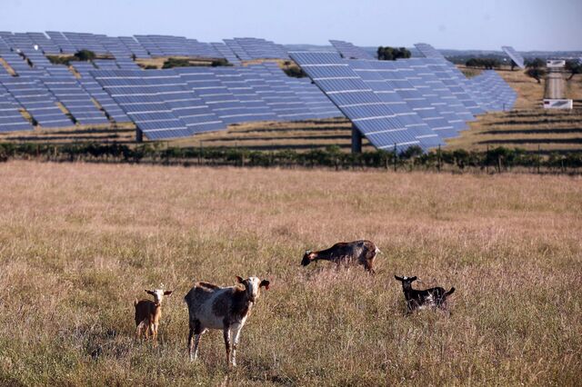 Matrix espanhola compra carteira solar com 90 MW em Portugal