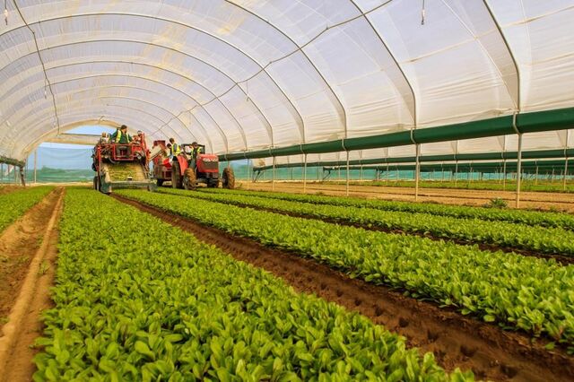 Grupo RAR com lucros de 16,5 milhões de euros em 2022