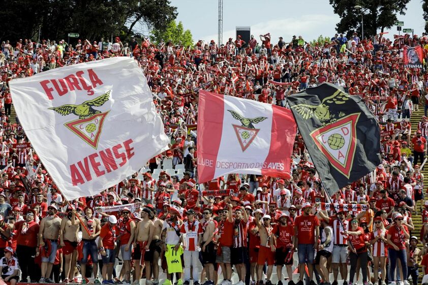 jamor taça