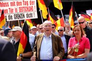 Alexander Gauland afd