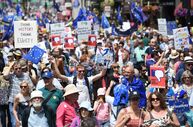 brexit manif
