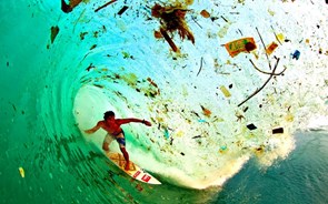 Quercus alerta para agravamento da poluição dos oceanos com a pandemia