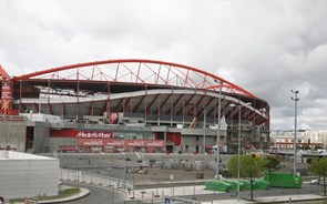 SAD do Benfica acusada de 30 crimes e Paulo Gonçalves de 79 no processo 'e toupeira'   