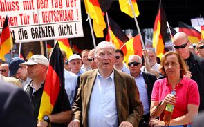 Alexander Gauland afd
