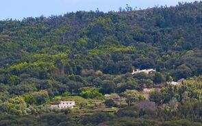 Serra Monchique casas floresta árvores mata