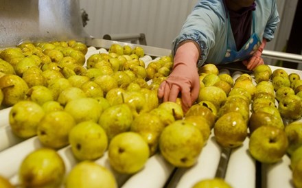 Colheitas e frutas com tecnologia e inovação