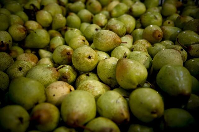 Produtores portugueses de peras e maçãs já podem exportar para a Indonésia