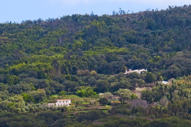 Fisco recusa dados de proprietários para pedidos de limpeza de terras