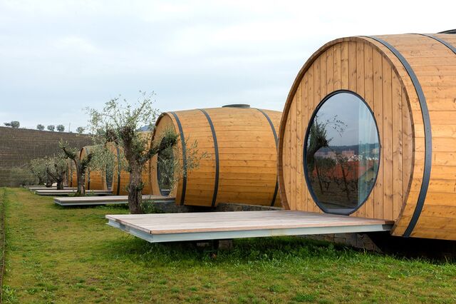 Enoturismo vai fermentar vendas de vinho em 50% à porta das quintas