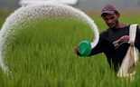 Custo dos fertilizantes ameaça lucros dos agricultores