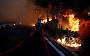 Incêndios na Grécia e Portugal são os mais mortíferos do século