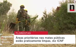 20180727_Num Minuto_Filomena Lanca_FLORESTAS_PLA.mp4
