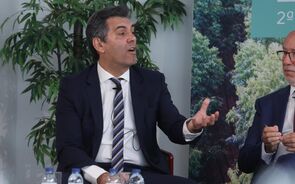 Miguel Freitas