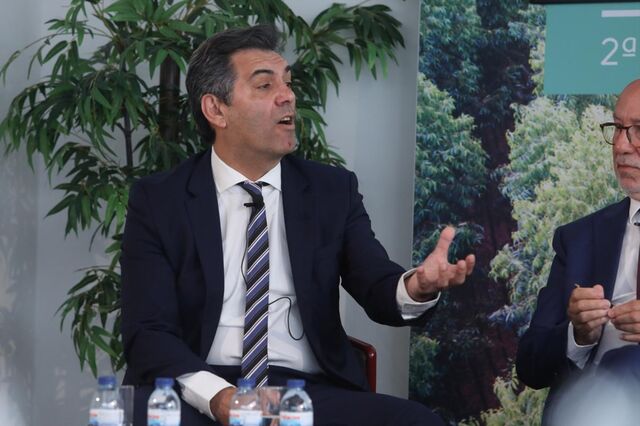 Governo adopta nova medida para apoio à reflorestação em áreas ardidas