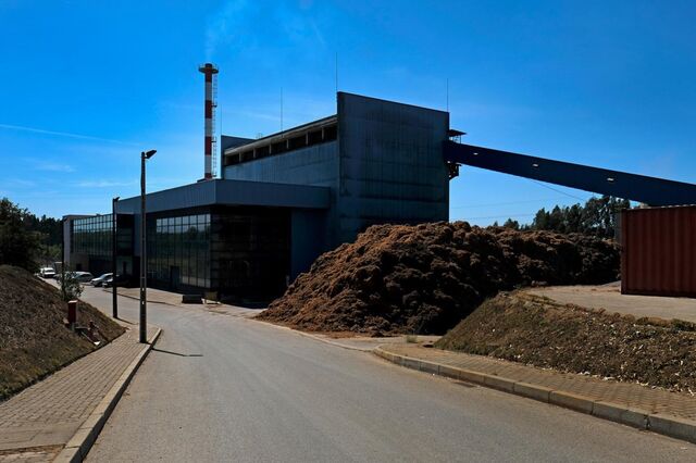 As novas regras para centrais a biomassa
