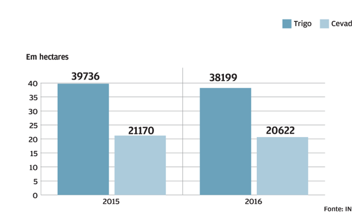Superfície cultivada diminui