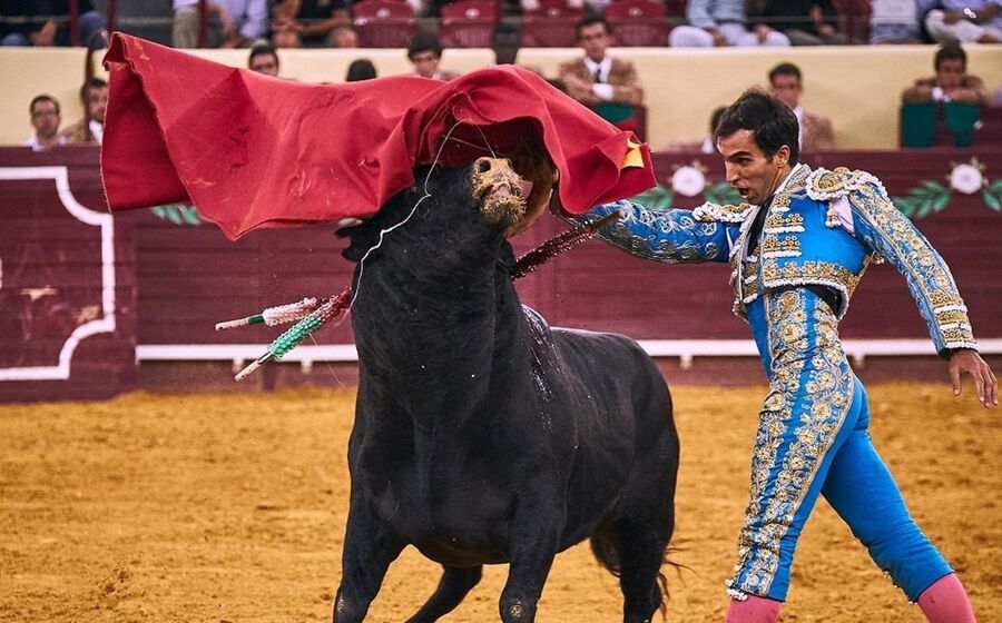 Noite de touros no Campo Pequeno