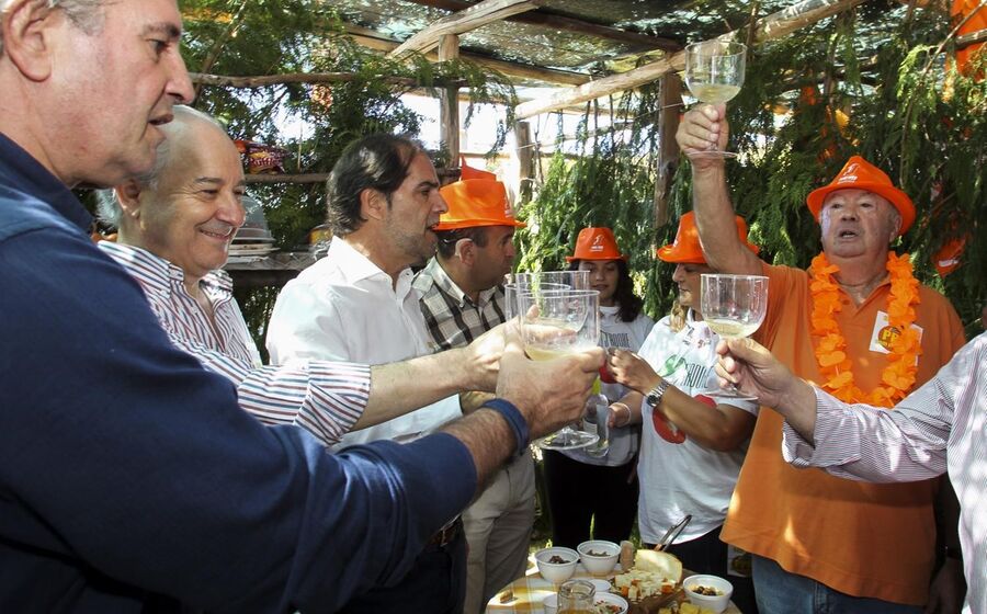 rui rio madeira