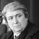 Pinto Monteiro