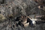 Monchique incêndios