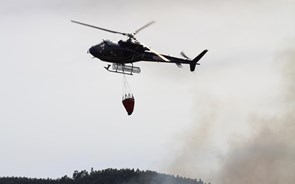 Número de concelhos em risco máximo de incêndio duplica este domingo 