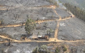 Frente de fogo já é visível perto da vila de Monchique