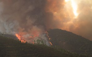 Incêndio no Algarve obriga a evacuar casas e lar de idosos. Combate segue de madrugada