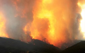 Incêndio em Monchique dado como dominado às 07:15