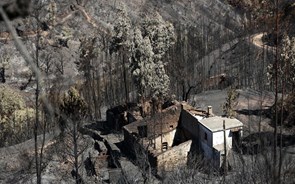 Cerca de 50 casas destruídas total ou parcialmente em Monchique 