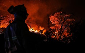Cerca de meia centena de concelhos de 11 distritos em risco máximo de incêndio