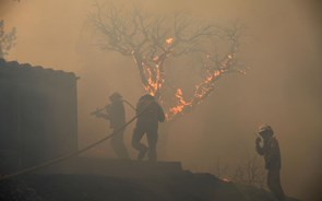 Começaram os fogos: 165 bombeiros combatem incêndio no distrito de Castelo Branco 