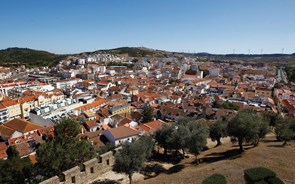 Torres Vedras: o concelho que abastece Portugal
