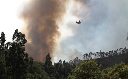 Fogo em Monchique já queimou 1.000 hectares 