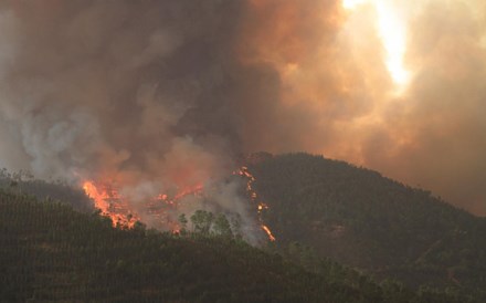 Incêndio no Algarve obriga a evacuar casas e lar de idosos. Combate segue de madrugada