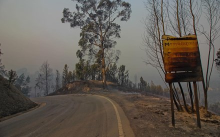 Incêndio de Monchique renova o sexto pior registo para a floresta portuguesa