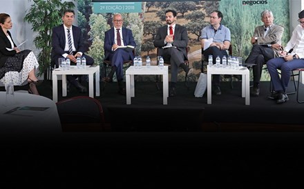 Debate: “Indústria do papel promove floresta sustentável”