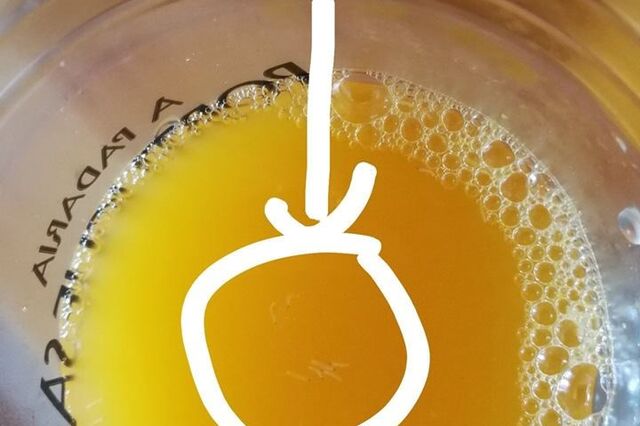Padaria Portuguesa: Sumos de laranja com larvas geram onda de queixas