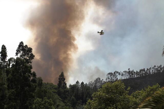 Fogo em Monchique já queimou 1.000 hectares 