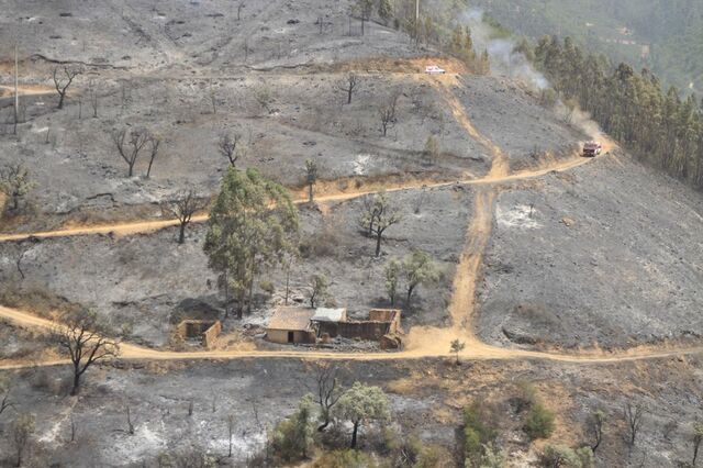 Frente de fogo já é visível perto da vila de Monchique