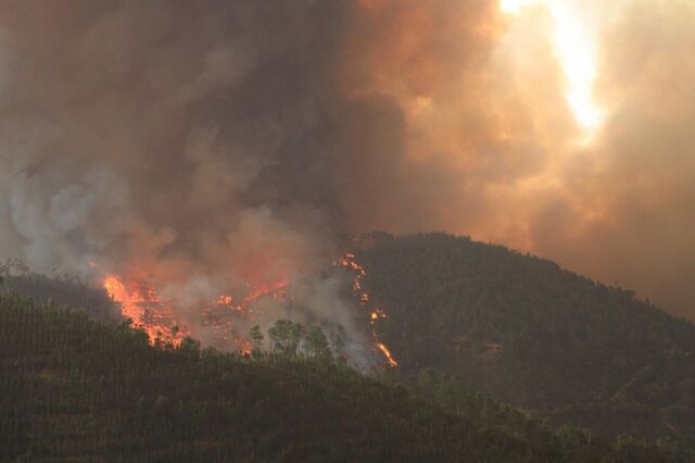 Incêndio no Algarve obriga a evacuar casas e lar de idosos. Combate segue de madrugada